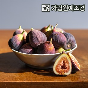 무화과나무 묘목 승정도후인 7치화분 결실주 가림원예조경, 1개