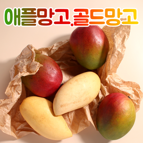 애플 망고 태국망고 골드망고 가정용 선물세트 2kg 4kg 5kg, 애플망고 2kg (가정용), 1개