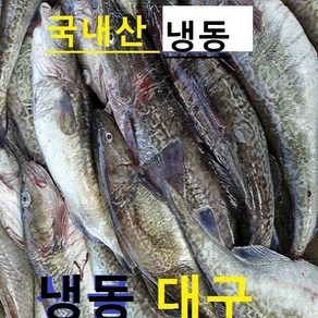 (쌍다리상회)냉동 생대구 2-4미 1.5k내외 35cm내외 급냉동, 급냉 대구 2-4마리, 1개