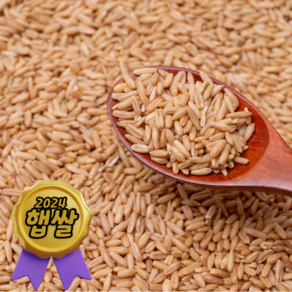 [정성든]국산 귀리 5kg 햇곡 잡곡 오트, 1개