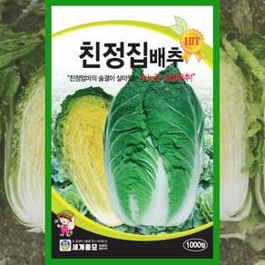 친정집배추 씨앗 1000립 가을 김장 배추 종자, 1개