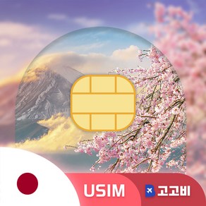 [USIM] 고고비 일본 유심 USIM 데이터 무제한, 1개, 1GB, 1일