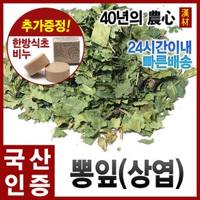 자애인 국산 뽕잎 300g 상엽 뽕나무잎 뽕잎차 충북제천, 1개