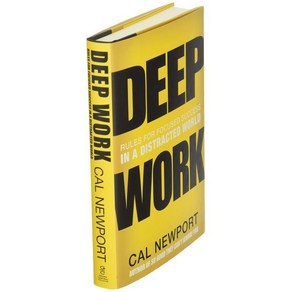 Deep Wok:Rules fo Focused Success in a Distacted Wold, Gand Cental Publishing