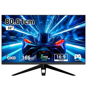 디엑스 80cm QHD 165Hz 고성능 게이밍 컴퓨터 모니터 D132EF-H2, D132EF-H2(32인치)무결점