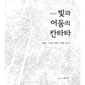 빛과 어둠의 칸타타:포토포엠, 헥사곤, 최민식