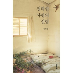 정확한 사랑의 실험