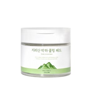 셀비엔 지리산 박하 쿨링패드 180ml(70EA), 70매입, 1개