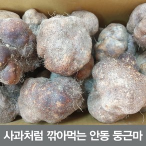 24년햇 둥근마 알뜰10키로 (정직을 배달합니다), 둥근마 중품5키로