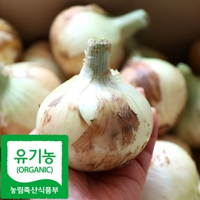 전라도 유기농 양파, 3kg, 1개