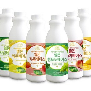 쉘몬 과일 농축액 베이스 1kg 모음전/시럽/원액/에이드, 1개