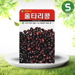 솔림텃밭몰 울타리콩씨앗 30g 울타리콩 재래종 콩씨 종자