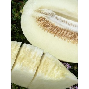 국내산 고당도 설향메론, 1박스, 달콤한 설향메론 2kg(3-6과)*1개