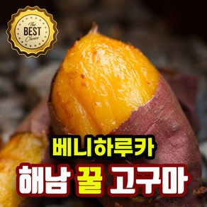 베니하루카 해남 꿀고구마 고당도 정품 꿀 고구마, 1개, 2kg(한입)