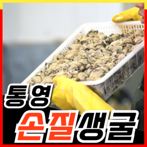 국산 통영 생굴 500g 1kg 횟감 용 굴 깐굴 대 삼배체 석화 하프셀