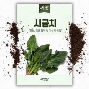 시금치 씨앗 (20g)/ 채소씨앗/ 시금치/ 텃밭씨앗, 1개