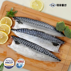 태웅물산 복분자숙성 노르웨이순살고등어 1kg (5-6팩), 1개