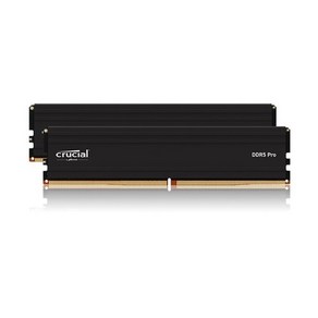 마이크론 Cucial DDR5-5600 CL46 PRO 패키지, 32GB(16Gx2), 2개