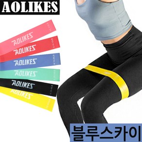 AOLIKES 루프밴드 1~6단계 스쿼트 런지 힙업운동 홈트레이닝 전신운동밴드