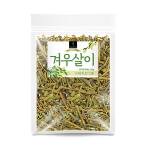 퓨어영 국산 겨우살이 300g 곡기생 건겨우살이 말린겨우살이, 1개