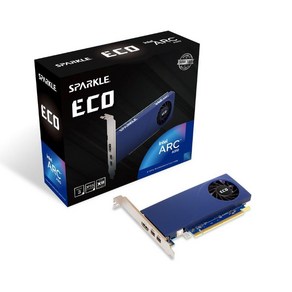 스파클 인텔 Ac A310 에코 4GB GDDR6 50W TBP 로우 프로파일 싱글 팬 싱글 슬롯 HDMI 1개 미니 디스플레이 포트 x2 SA310L4G, A310 ECO, 1) A310 ECO
