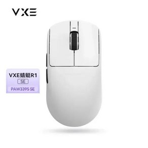 VGNF1PRO vgnf1po Vgn Vxe 드래곤플라이 R1 프로 맥스 게임용 마우스 충전식 블루투스 게이머 Paw3395 경량 인체 공학적 무선 Espot, 없음, 1) R1 SE 500mAh