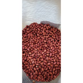 수입산 생땅콩/알탕콩 Lac tuoi PEANUT KERNELS 1팩(1kg), 1kg, 1개