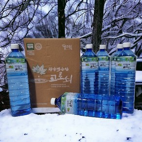 광양백운산 고로쇠 물 고로쇠수액 1.5리터, 6개, 1.5L