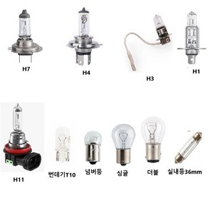 현대 타타대우 24V 전구 H4 H7 H11 H1 H3 T10 번데기 더블 싱글 전구 실내등 수입형 150도전구 메가 뉴파워 트라고 프리마 노부스 대형차