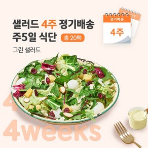 [포켓샐러드] 샐러드 4주 정기배송 주 5일 (데일리 베이직 식단/ 그린 샐러드 5팩), 20개, 190g