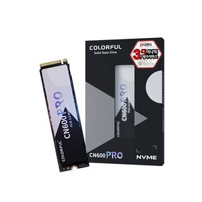 COLORFUL CN600 PRO M.2 NVMe 256GB 디앤디컴