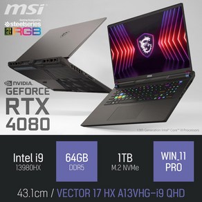 MSI 벡터 17 HX A13VHG-i9 QHD, WIN11 Po, 64GB, 1TB, 그레이