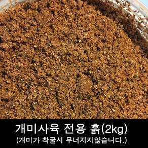 개미사육전용 흙 2kg 개미사육장 흙