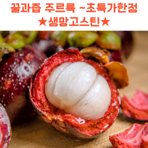 여왕의과일 신선한 생 망고스틴 열대과일, 500g, 1개