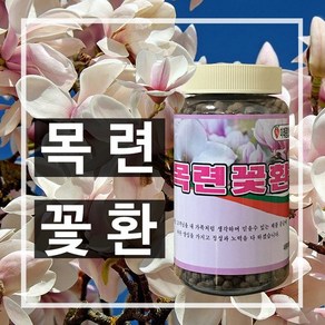 미래종합농산 목련꽃환, 1개, 280g