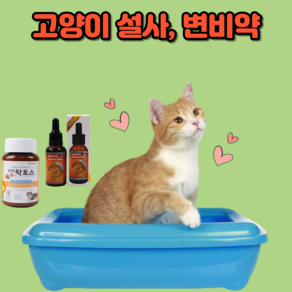 고양이설사약 고양이변비약 고양이 유산균 영양제, 액상형(30ml), 1개