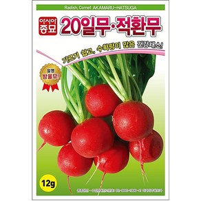 아시아종묘 무씨앗 20일적환무 방울무 래디시 건강채소씨 (12g), 1개