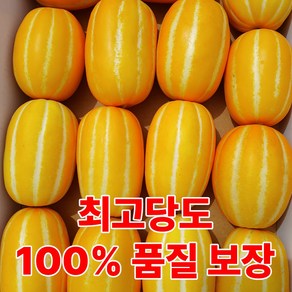 [제철곳간]초고당도 산지직송 아삭 성주 꿀참외 5kg 가정용, 1박스, 중소과 5kg(15~25과)
