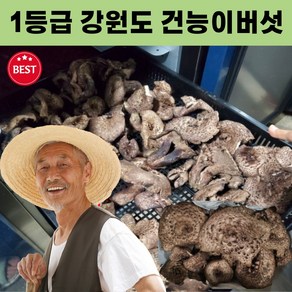 강원도 국산 자연산 건능이버섯 50g 건조 능이버섯 국내산 능이버섯 국산능이버섯 자연산능이버섯 건능이 1등급 말린