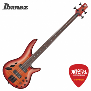 Ibanez 아이바네즈 베이스기타 SRD905F Bown Topaz Bust Low Gloss, 1개