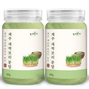 동의한재 제주 새싹보리 분말 가루, 300g, 2개