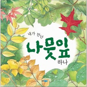 내가 만난 나뭇잎 하나, 윤여림 저/정유정 그림/이은주 감수, 웅진주니어