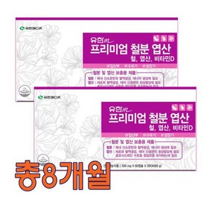 유한메디카 프리미엄 철분 엽산