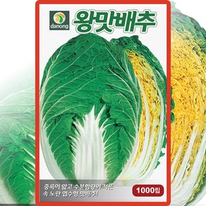 다농 왕맛배추 씨앗 1000립 알배기 배추 씨 가을 김장용 종자, 1개