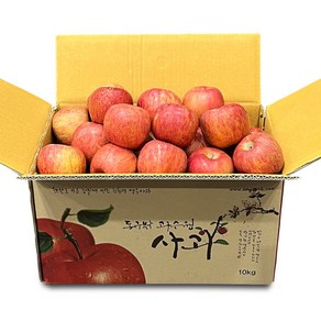 하이브릭스 가정용 부사 사과 10kg, 1박스