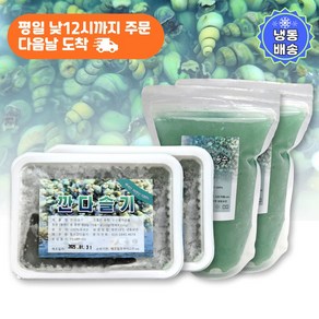 [100%국내산] 다슬기 국 탕 찌개 요리재료 (깐다슬기 450g 2팩+육수 700g 2팩), 1세트, 2.3kg