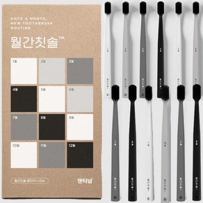 덴티넘 월간칫솔, 12개, 1세트, 베이직