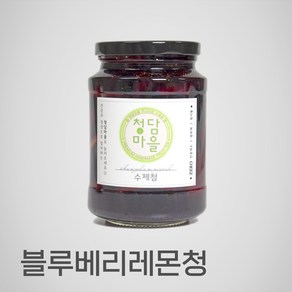 청담마을 블루베리레몬청 550g, 1개, 1개입