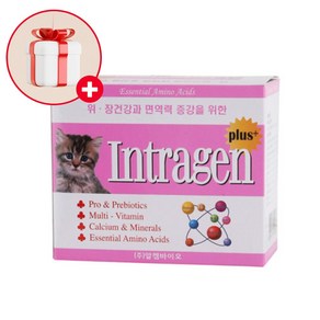 강아지 고양이 영양제 장 면역력 피모 인트라젠 종합영양제 30포(60g), 1개, 단품, 면역력 강화