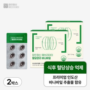 혈당관리 당뇨영양제 식후 케어 장인정신 에브리데이 바나바잎, 2개, 500mg, 60정